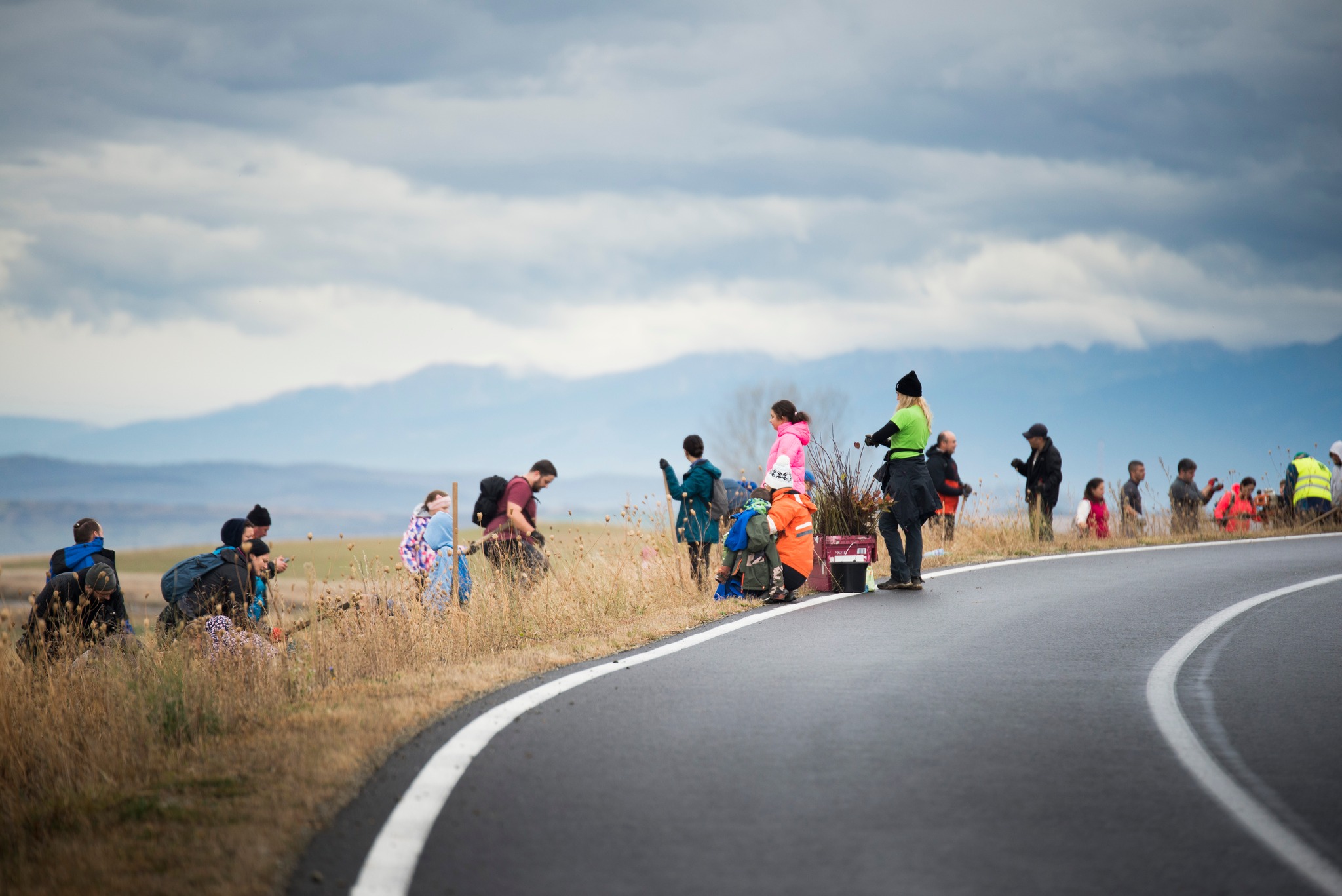 Plantare Ocna Preview 1